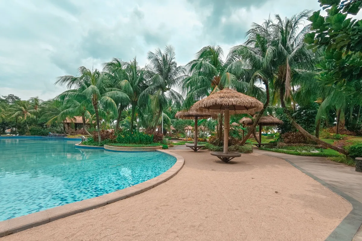 Digitális nomád életstílushoz passzoló pálmafák és medence