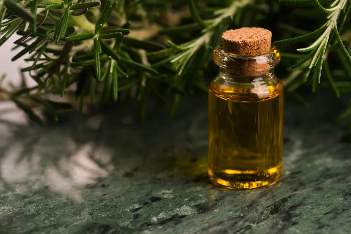 Samponba is tehető rozmaring illóolaj