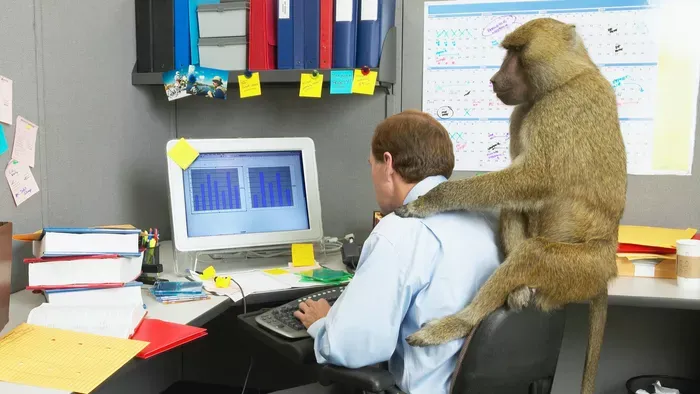 Ez a személyiségteszt felfedi, mi tesz téged furcsává