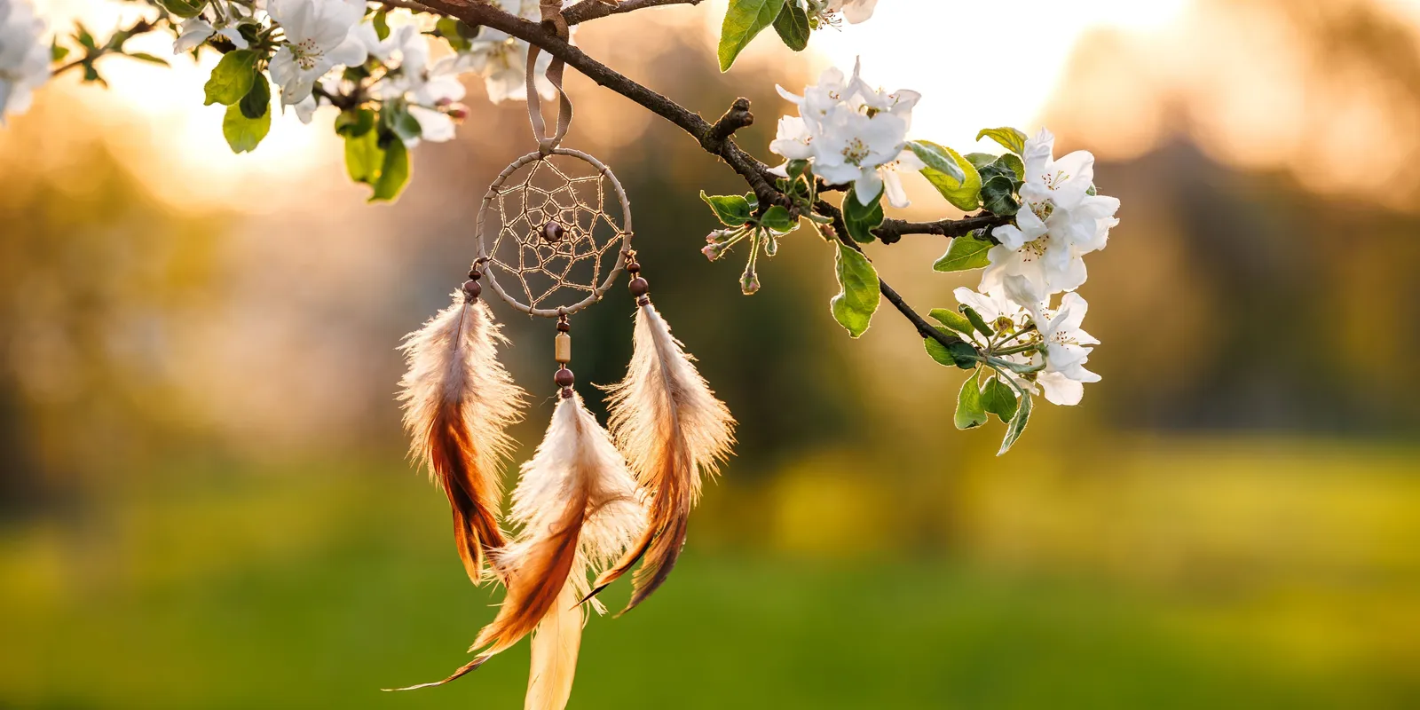 Személyiségteszt: most kiderül, mennyire ősi a lelked