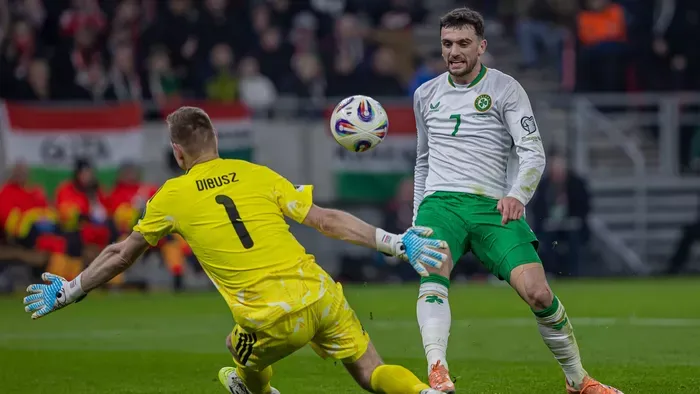 Visszaszólt az írek gólszerzője a történtek után