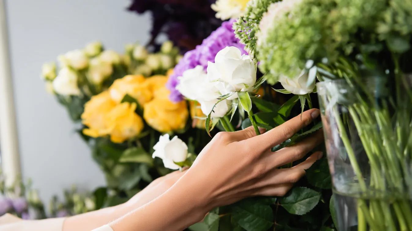 Virágválasztós személyiségteszt