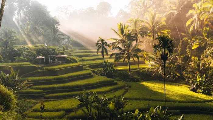 Bali – a sziget, ahol az Ázsia Expressz célba ért (4. rész)