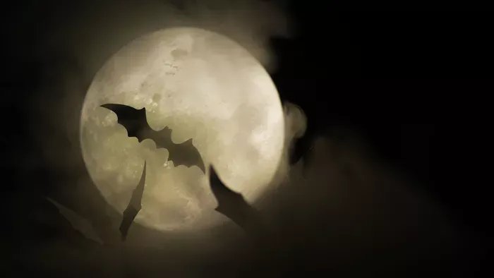 Bátorságpróbák kicsiknek és nagyoknak.