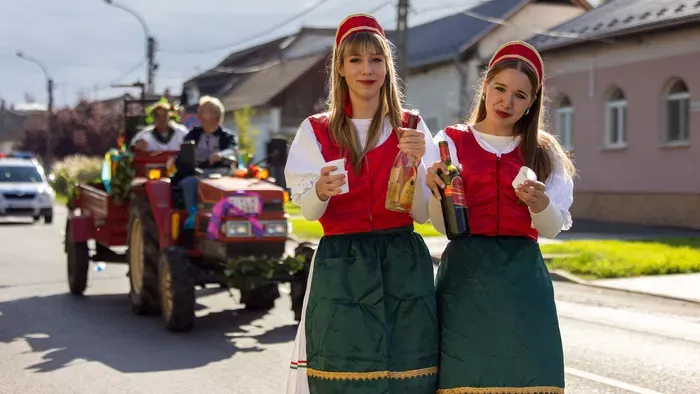 Ezek a legjobb ingyenes szüreti mulatságok