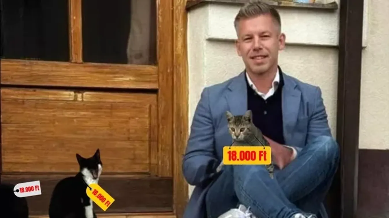 "Árad a Tisza-adó!" - így csapott le a népszerű zenész Magyar Péterék őrült ötletére