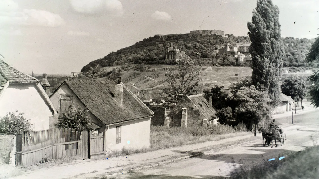 1917-es felvétel a Gellért-hegyről, a Naphegy utcából