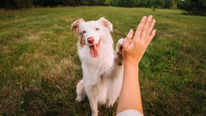 Teljesen abszurd: a Tisza még a gazdikat is megadóztatná