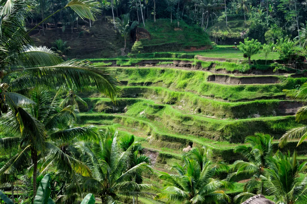 Bali, Indonézia