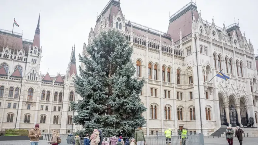 Így került a helyére a 2025-ös év ország karácsonyfája