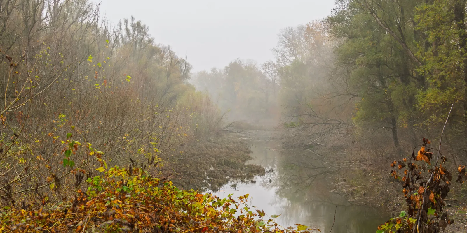 Napsütés és köd: ezt hozza a pénteki időjárás