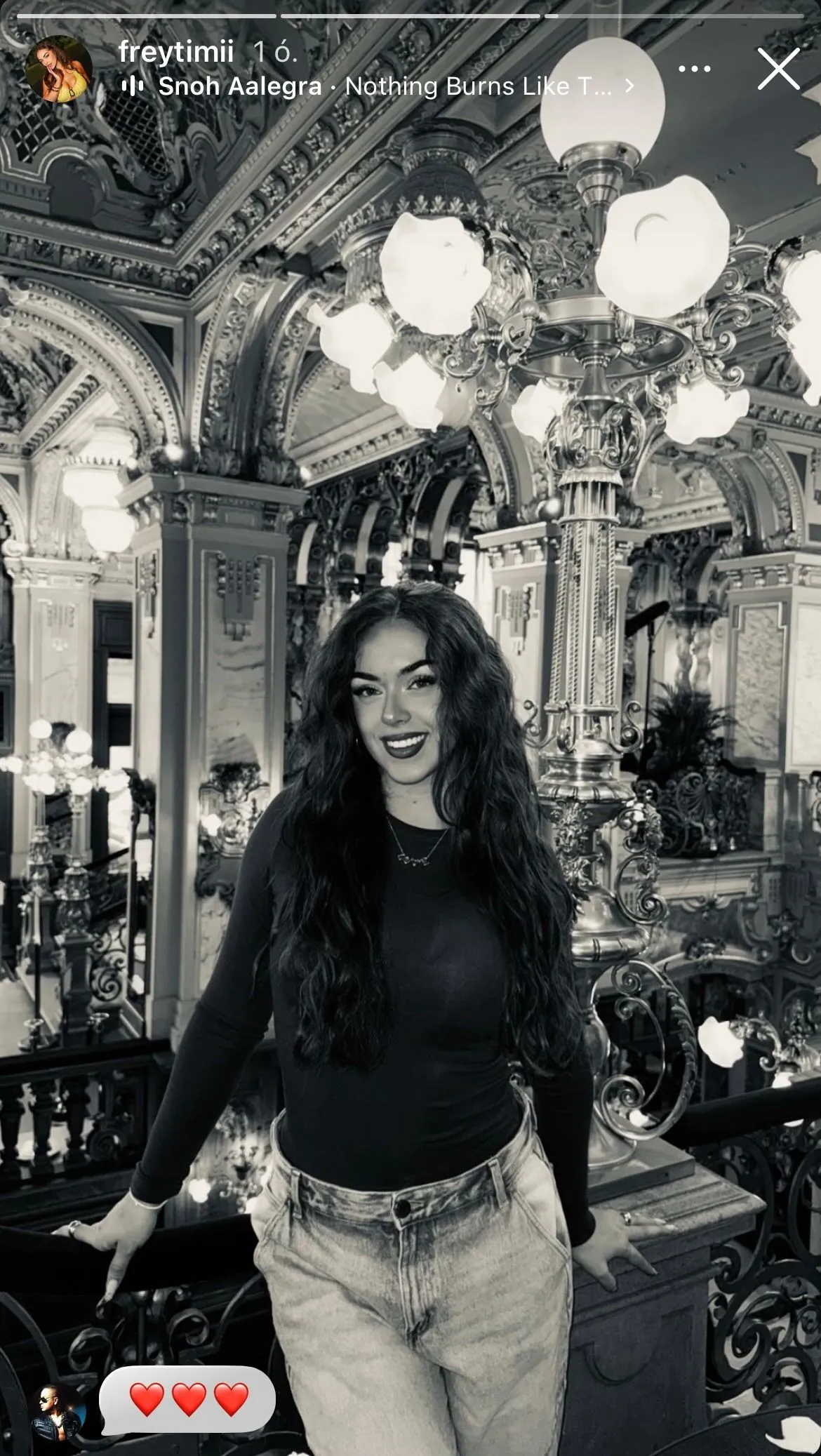 L.L. Junior Frey Timi