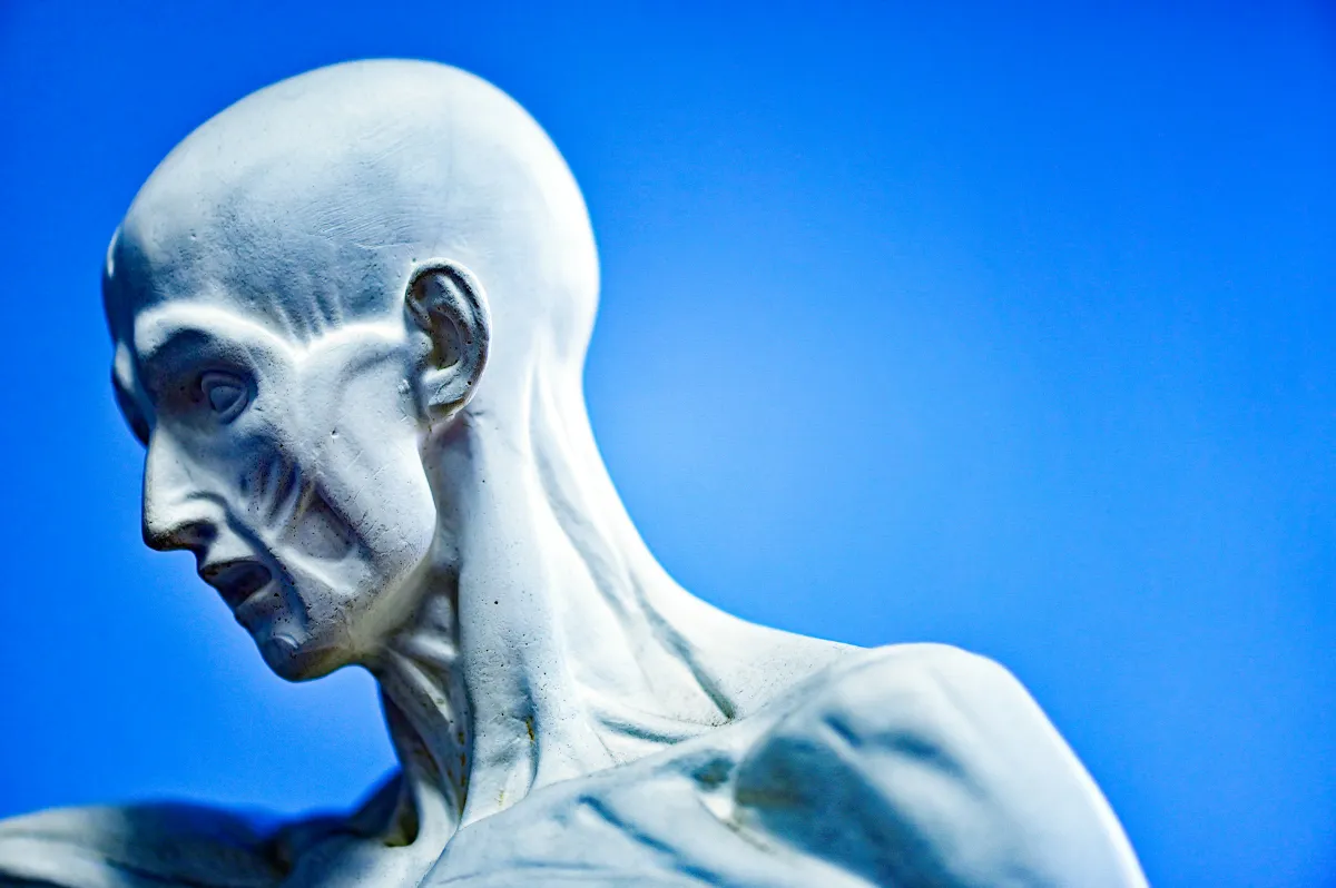 Egy ritka felfedezésnek köszönhetően jött rá a kétgyermekes anyuka, hogy ő valójában egy űrlény