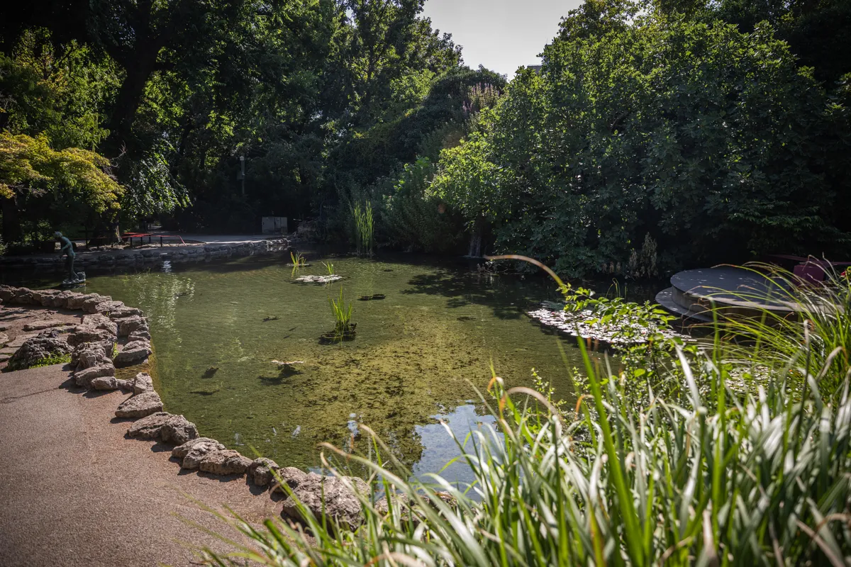 a budapesti Margitsziget Japánkertje
