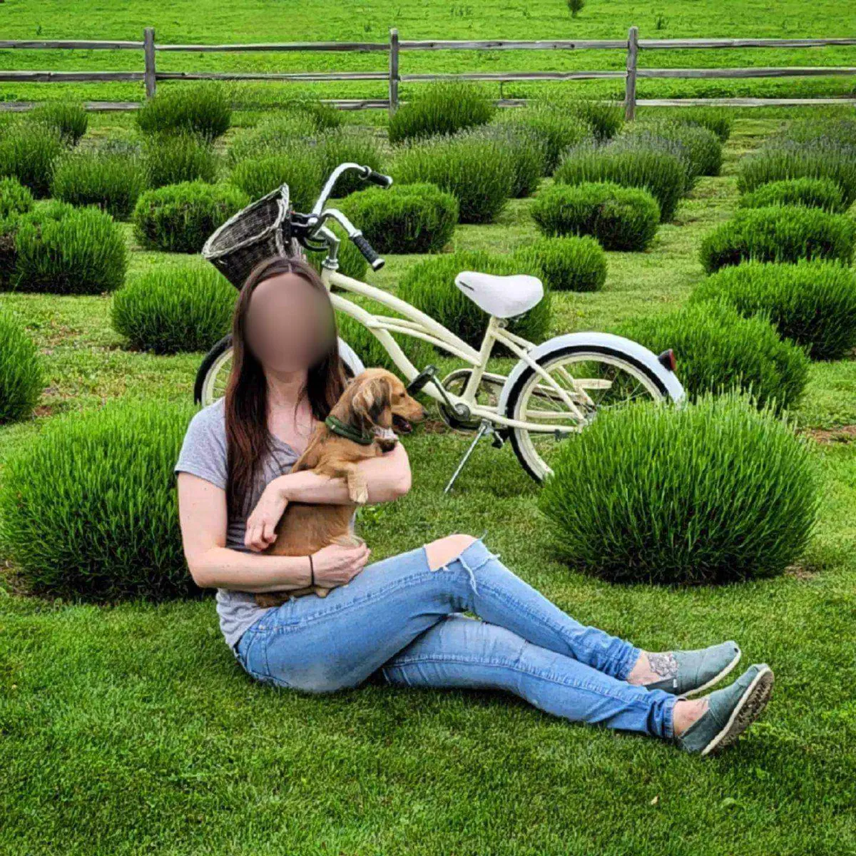 Mackenzie Michalski gyilkosa ellen vádat emeltek.