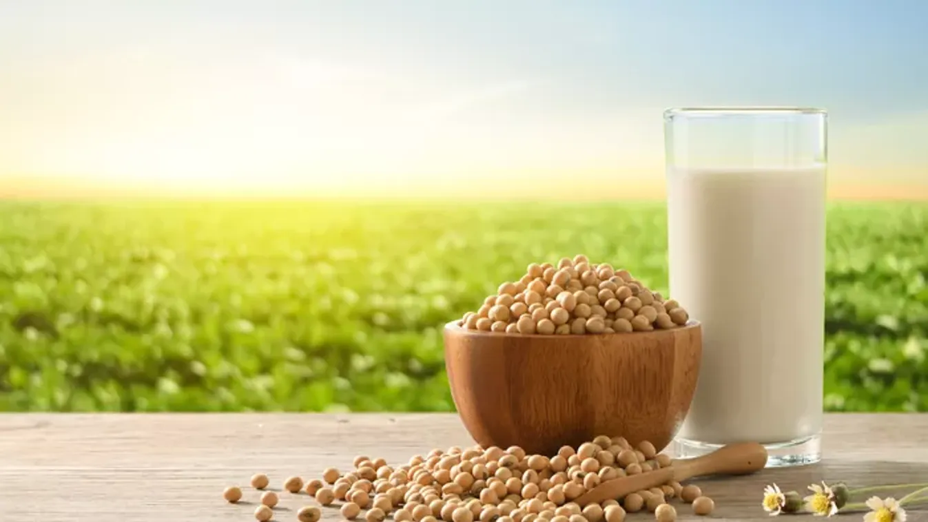 Valóban veszélyes a szójatej? Lerántjuk a leplet az igazságról