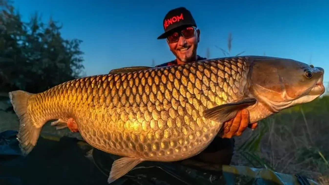 Jankovich Krisztián: Előetetés után habzsolnak igazán a kapitális amurok