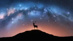 Álomfejtés – Ezt jelenti, ha szarvassal álmodtál