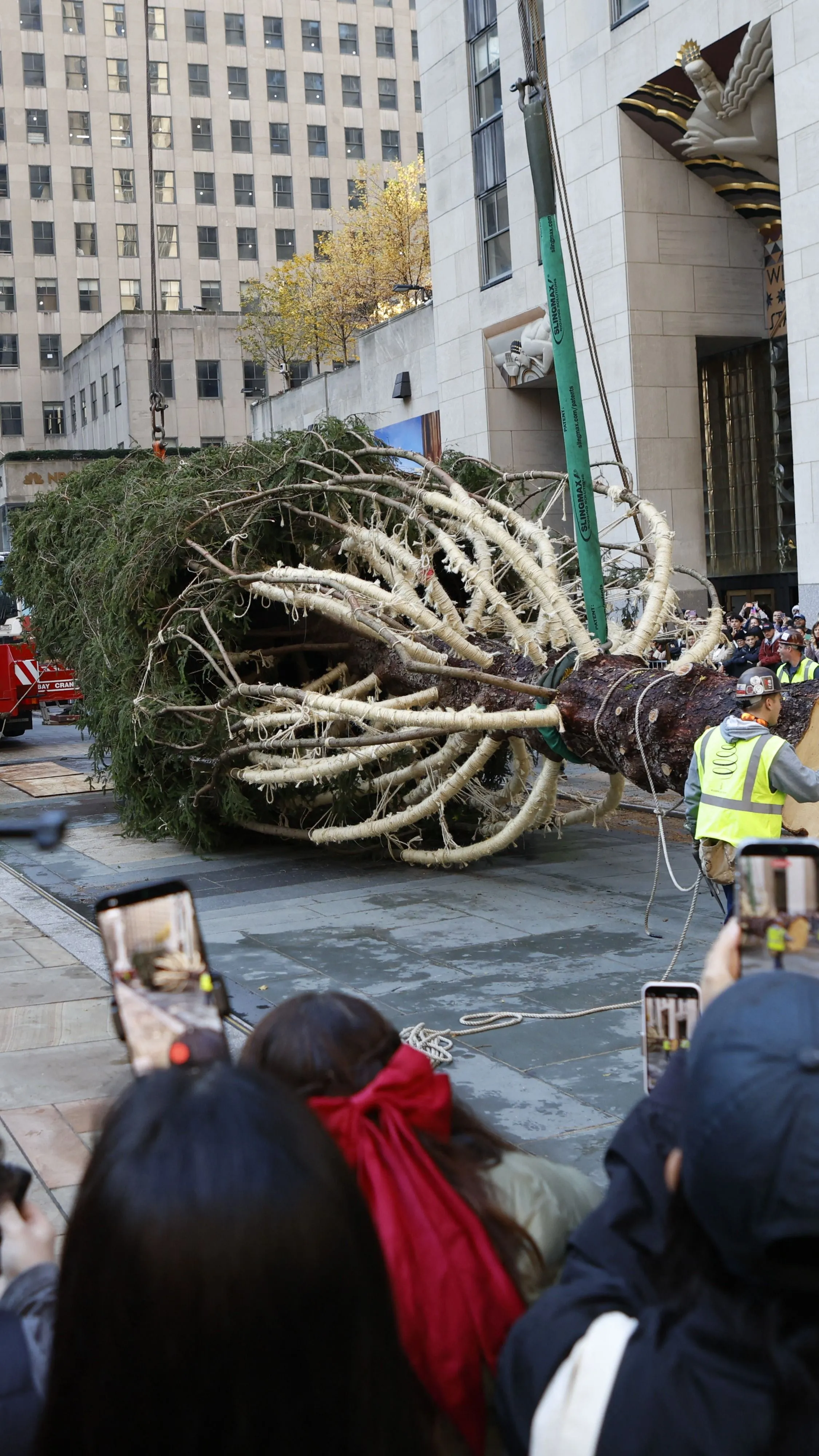 Helyére került az idei Rockefeller-karácsonyfa