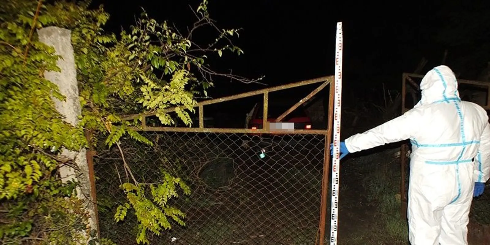 Meggyilkolták a tápiószőlősi nyugdíjast: fejszével és kőműveskalapáccsal végeztek vele