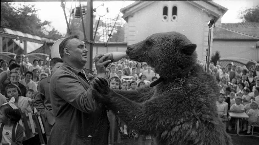 Kvíz kérdést ábrázoló kép