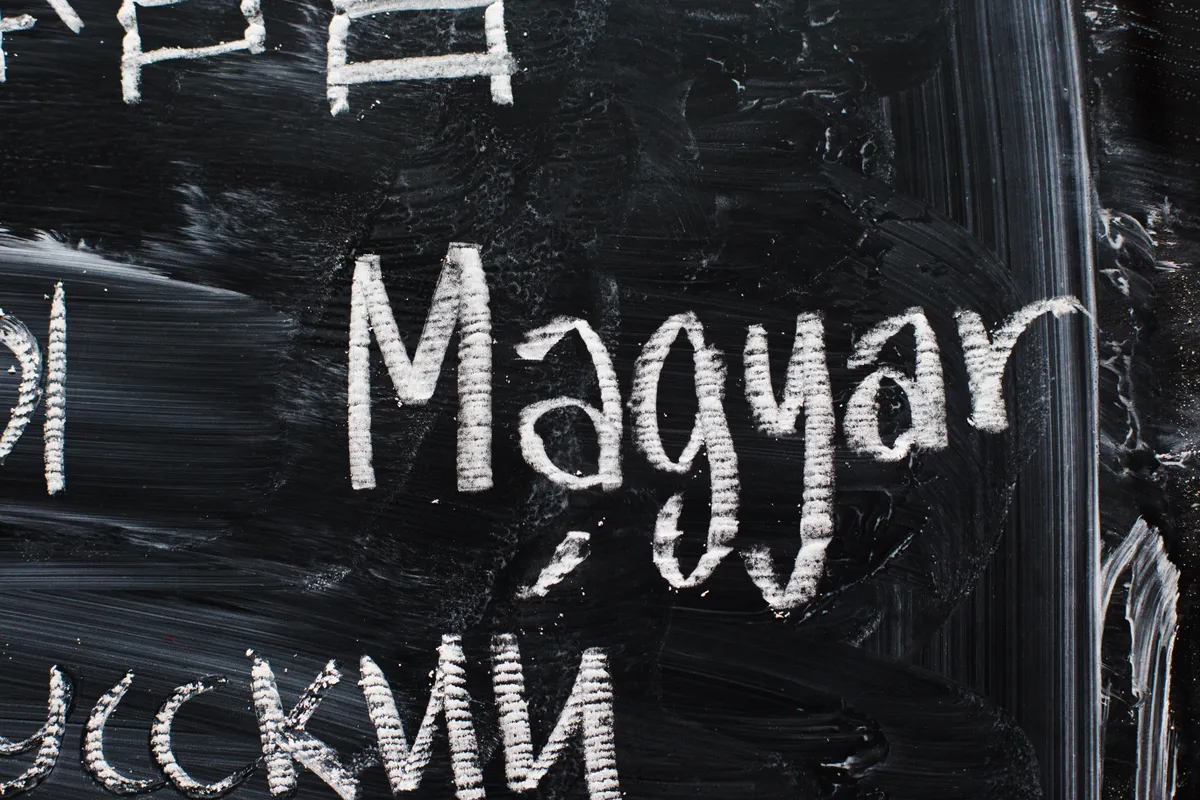 A  magyar nyelv napját 2011 óta ünnepeljük