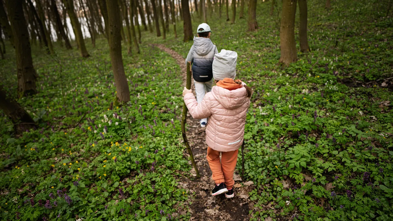 Tanösvény bejárása gyerekekkel