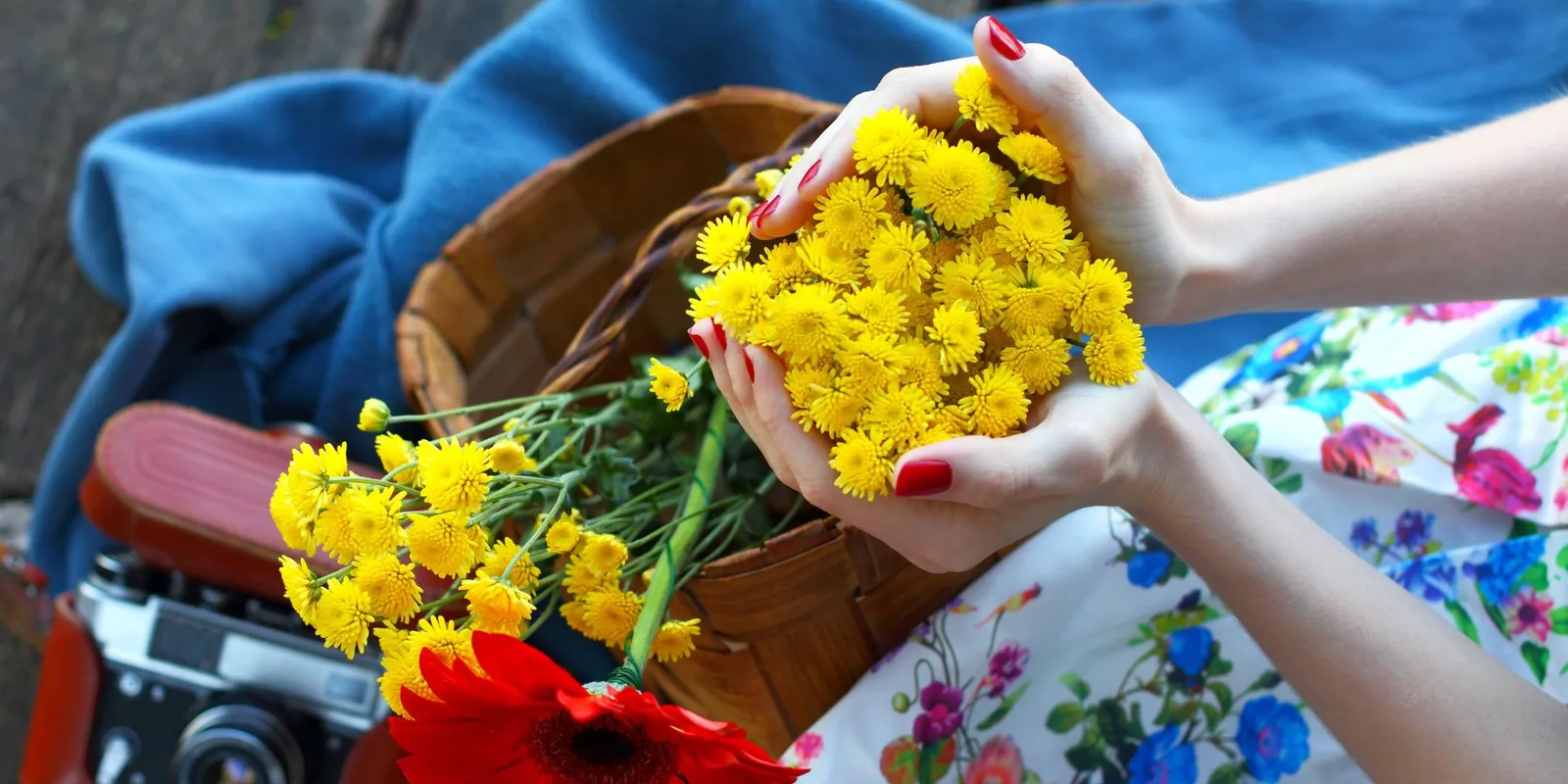 Virágfelismerő kvíz: botanikai zseni vagy, ha minden kérdésre tudod a választ