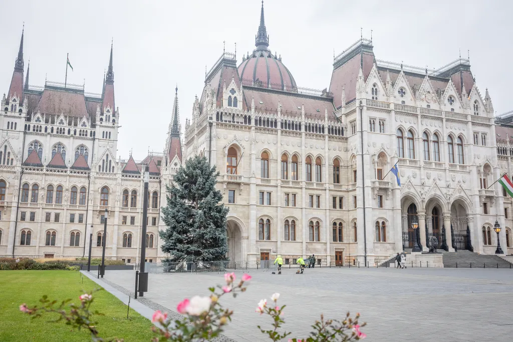 2025.11.24.Az ország karácsonyfájának felállítása