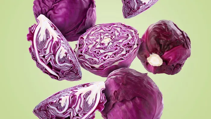 A lila káposzta jótékony hatásai a szervezetre