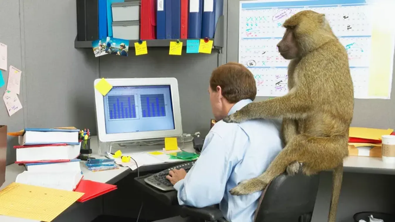 Ez a személyiségteszt felfedi, miért tartanak mások egy kicsit furcsának