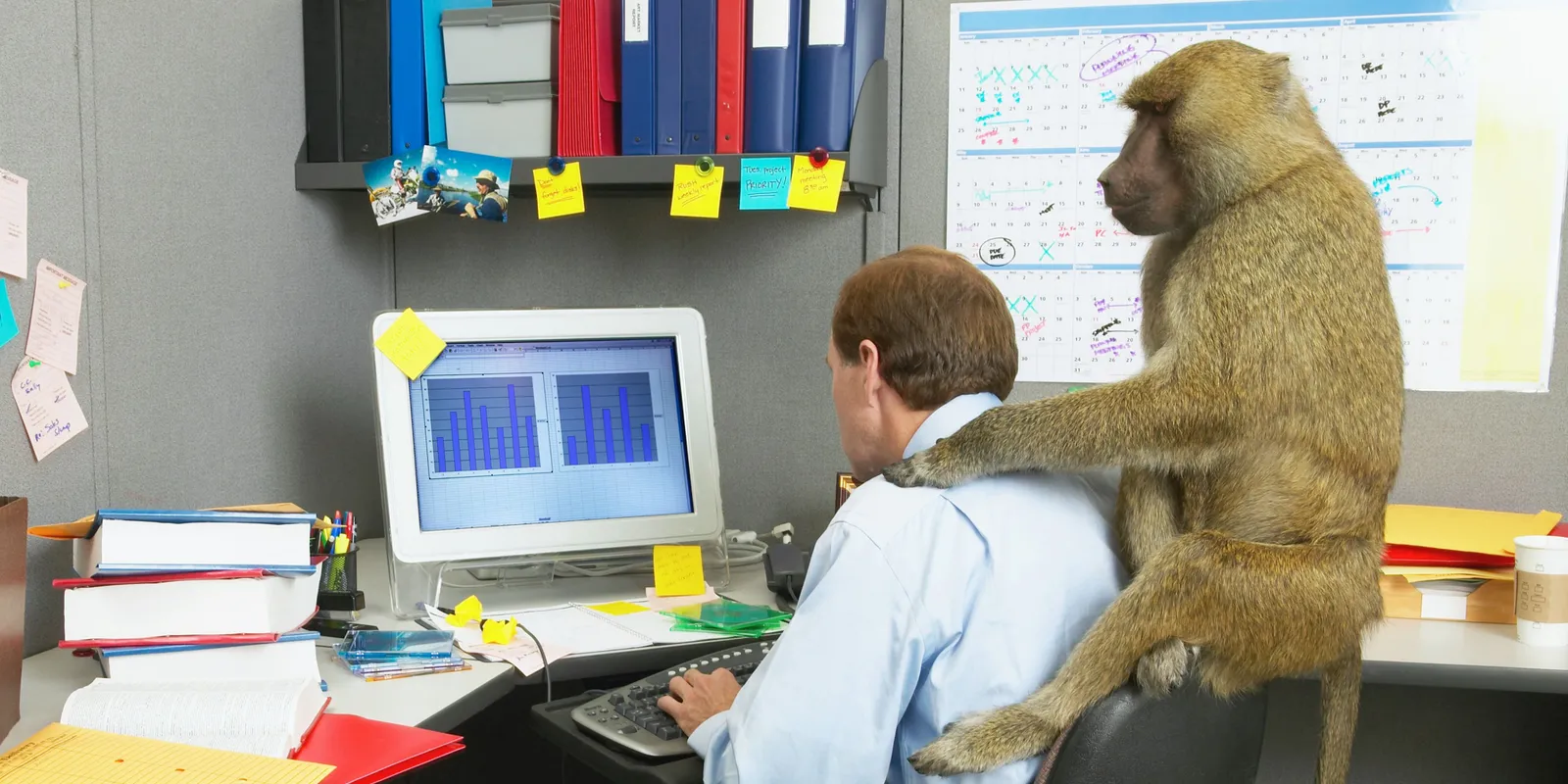 Ez a személyiségteszt felfedi, mi tesz téged furcsává