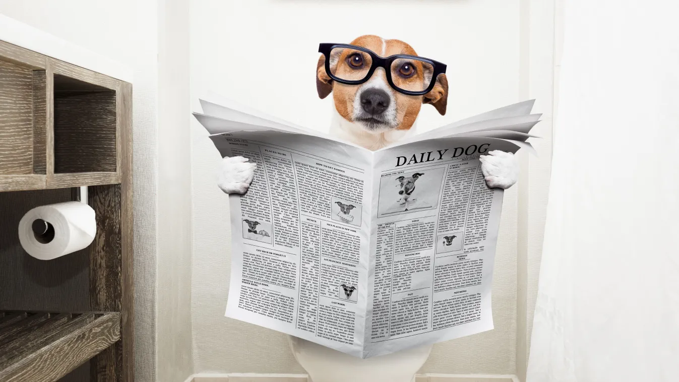 Mindent megpróbáltál, de semmi sem segít? Íme 5 mennyei nassolnivaló, ha székrekedéssel küzdesz