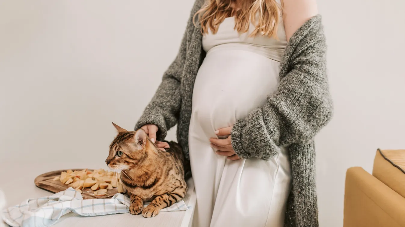 7 dolog, amire nagyon figyelj terhesen