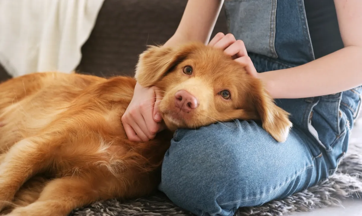 Kutyája figyelmeztette a nőt az életveszélyes betegségre. 