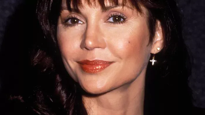 A Dallas Pamelája 50 évesen váltott karriert