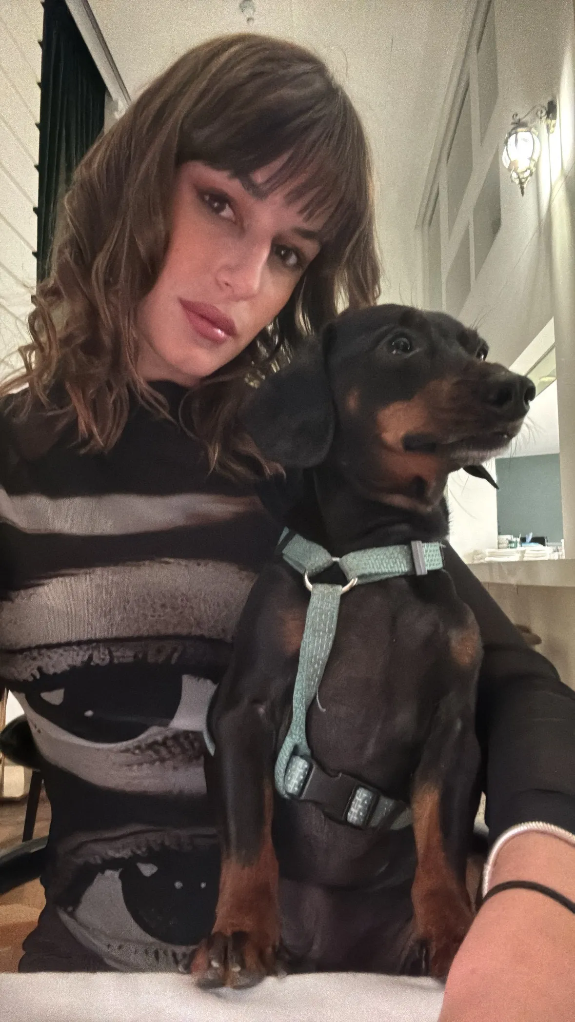 Panka és kuytája új albérletbe költöztek