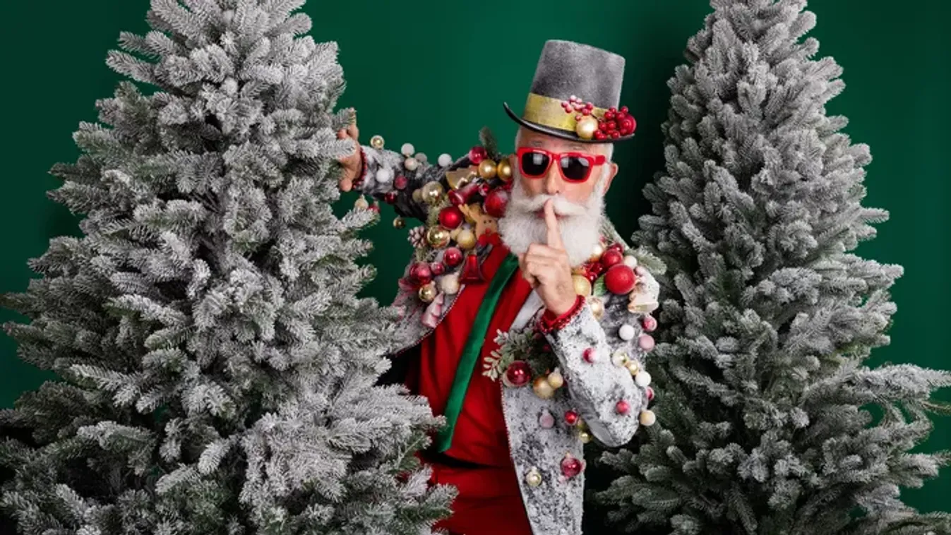 Olcsó fenyőfa vásárlás: így válaszd ki a tökéletes karácsonyfát