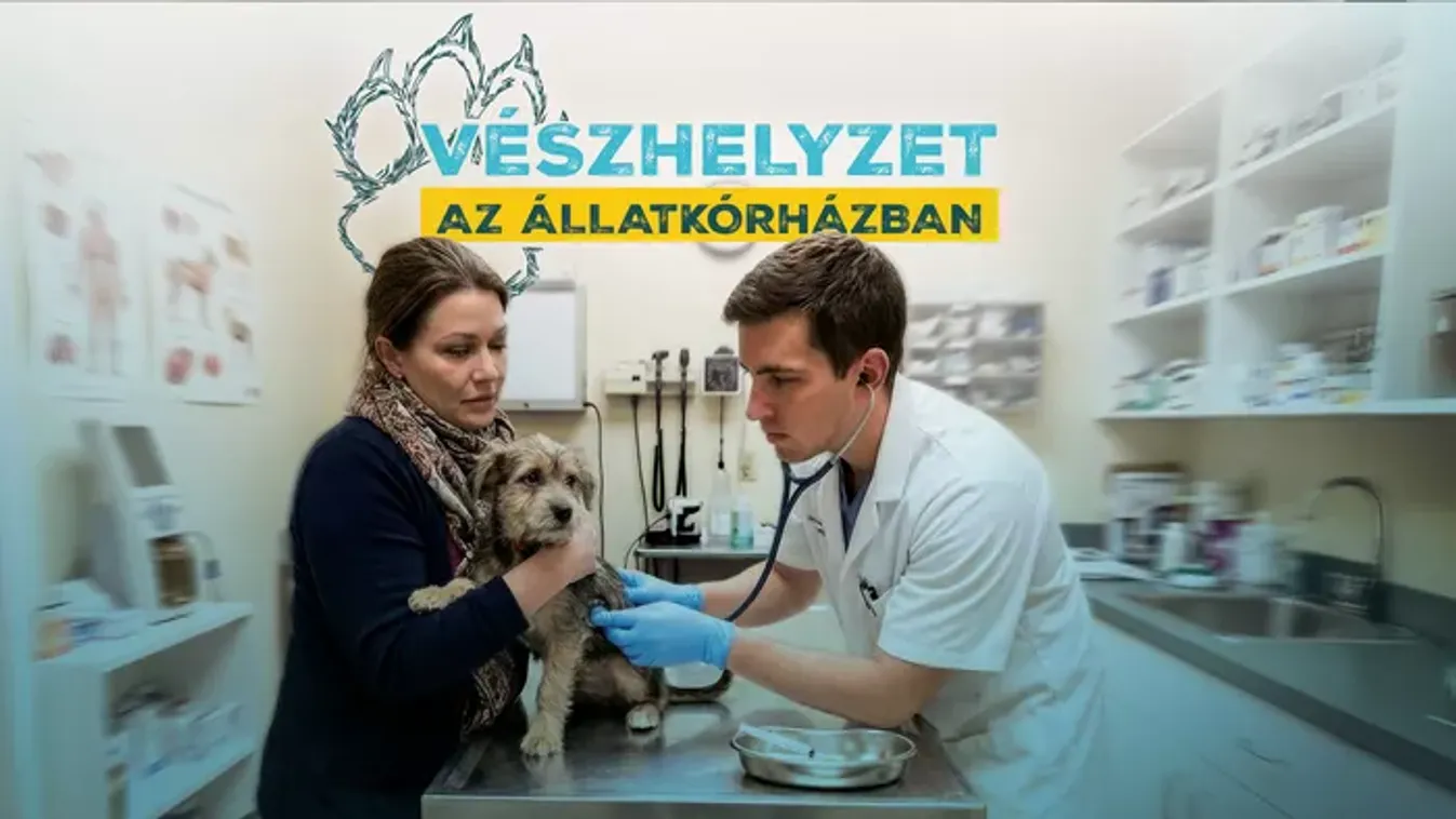 Új sorozat érkezik a TV2-re, ilyen még nem volt! - Ezt nem érdemes kihagyni