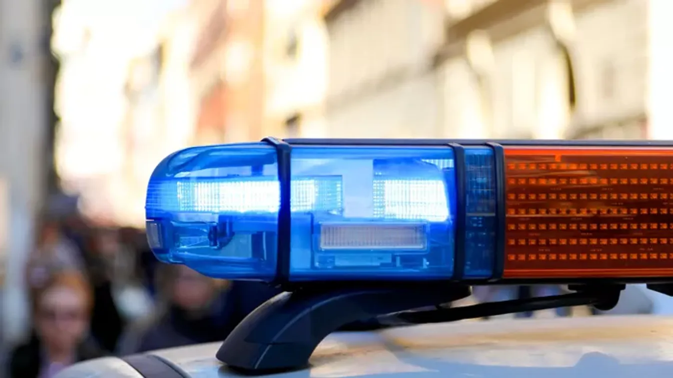 Állatkínzáson kapták a miskolci férfit: Pabló és Bobi hónapok óta szenvedtek