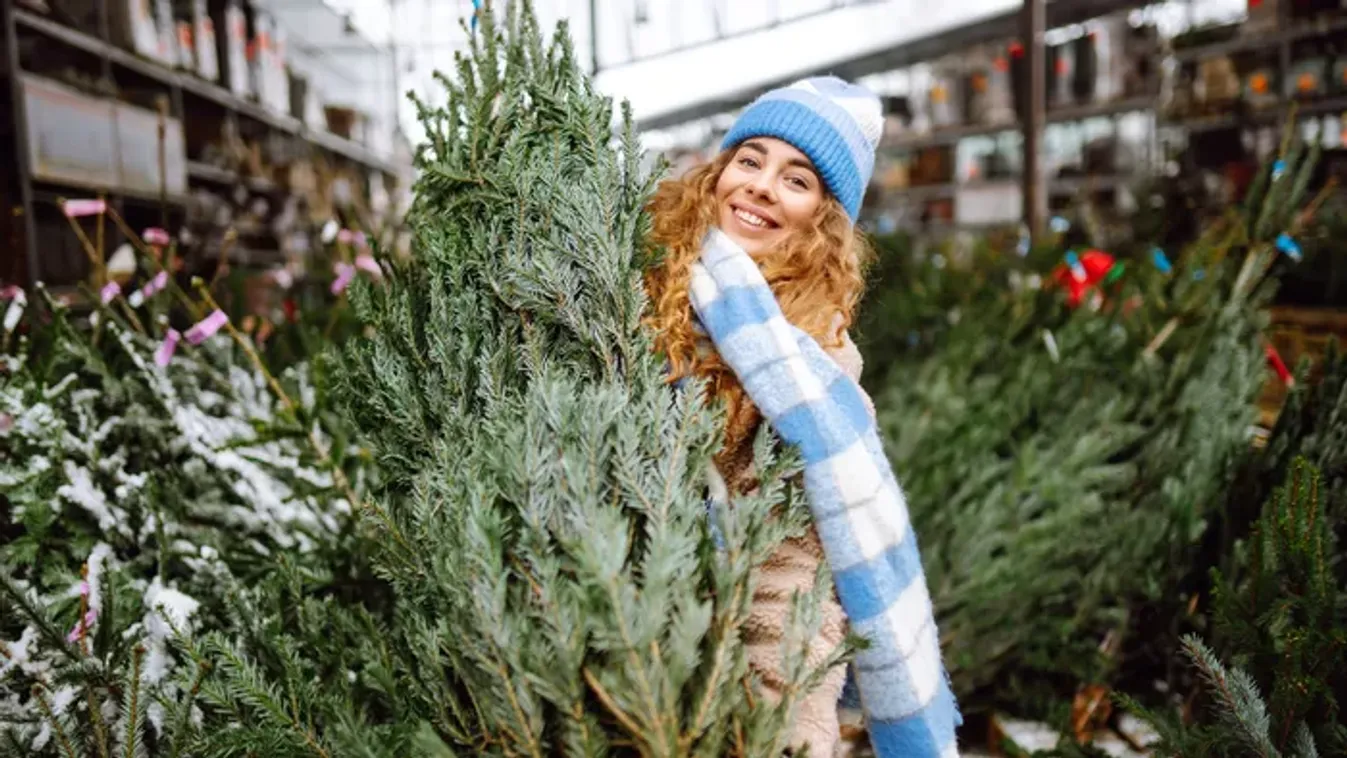 Műfenyő vagy igazi? Erre nagyon figyelj a karácsonyfa kiválasztása során