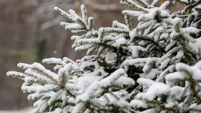 Mesébe illő a látvány: az ország több pontján is havazik