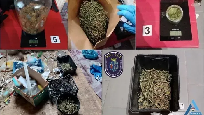 Otthon termesztette a drogot a 62 éves férfi