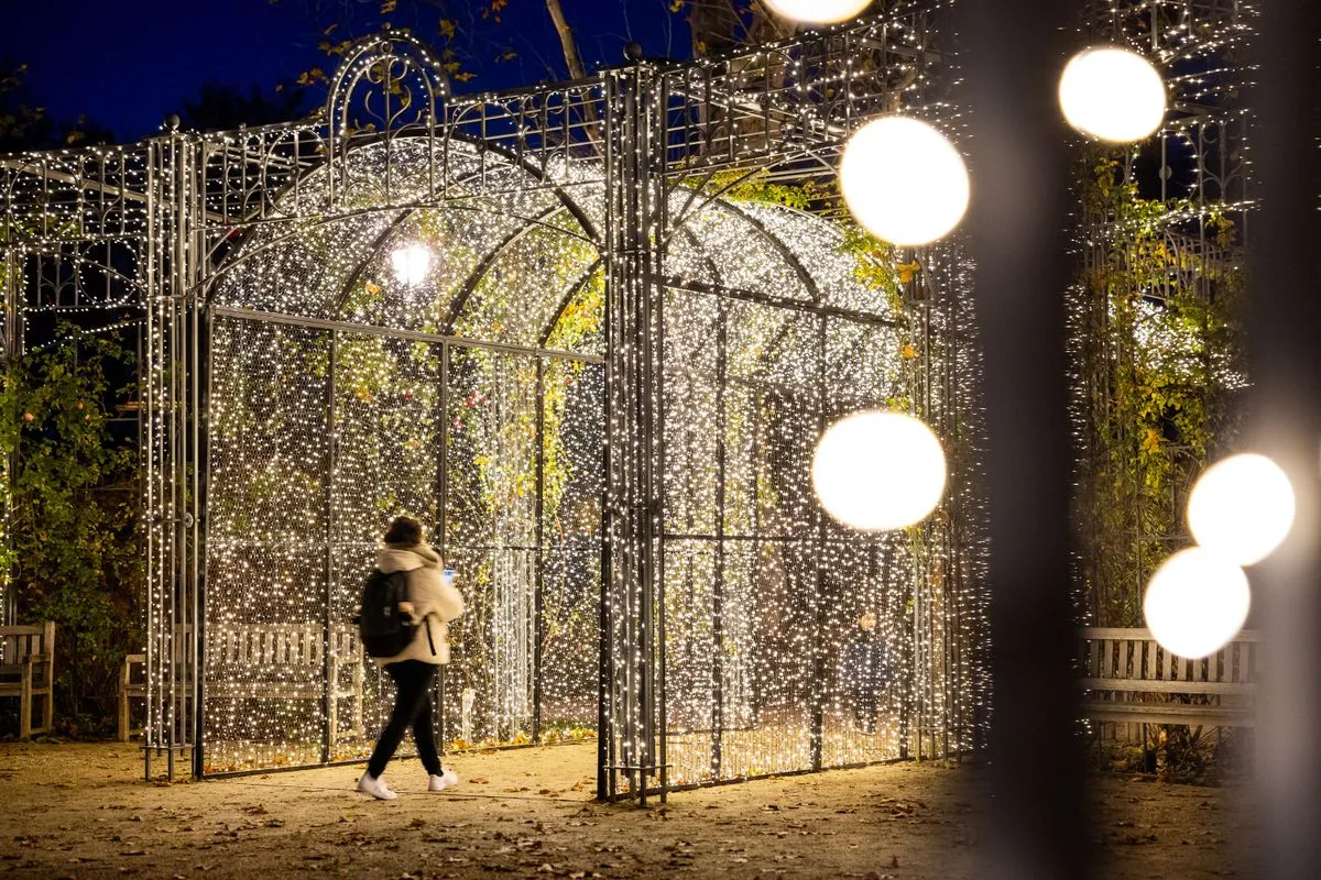 városliget, fények, advent