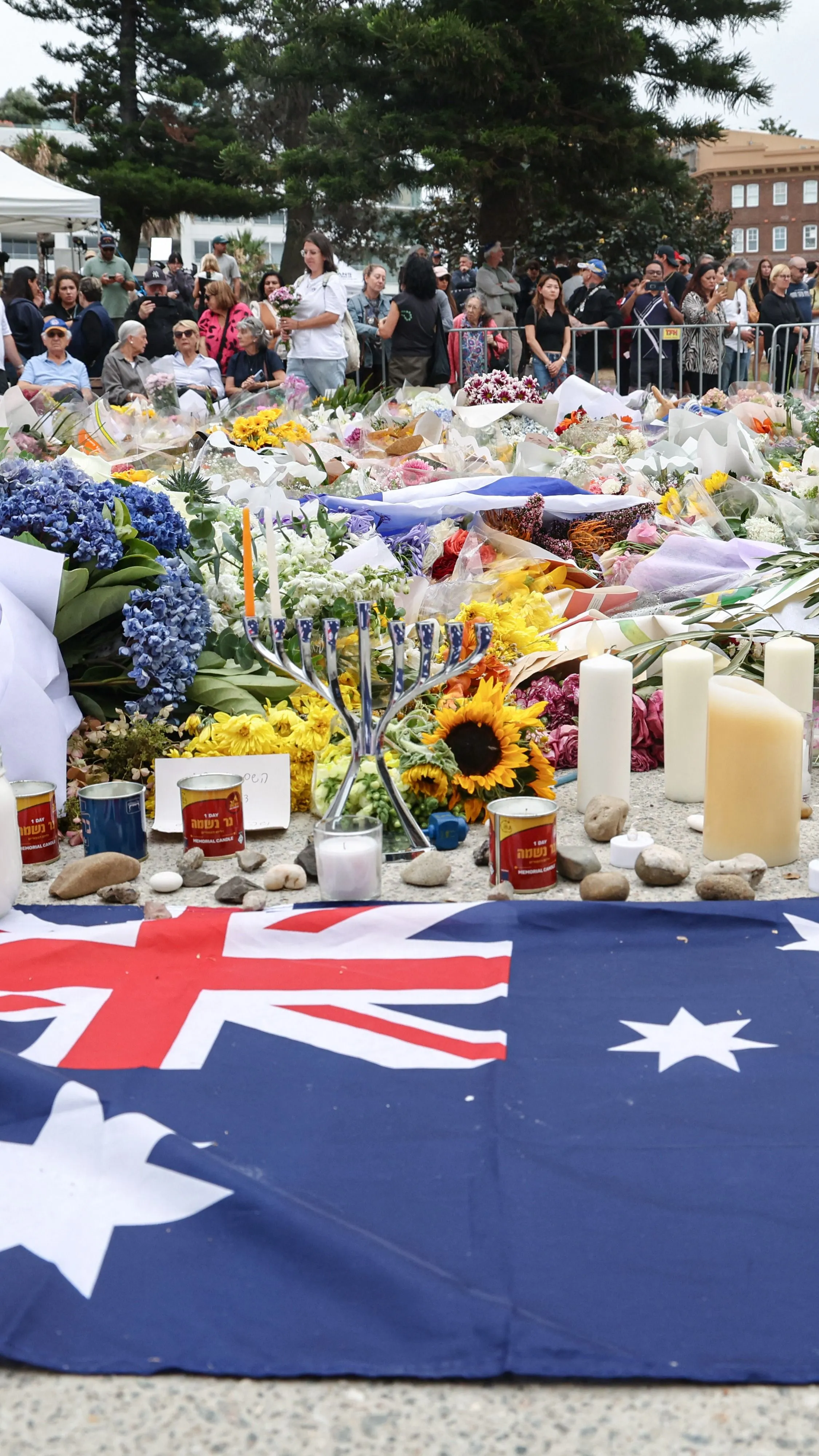 A kutya, aki nem hagyta magára gazdáját a Bondi Beach-i támadás után