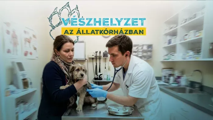 Új sorozat érkezik a TV2-re, ezt nem érdemes kihagyni