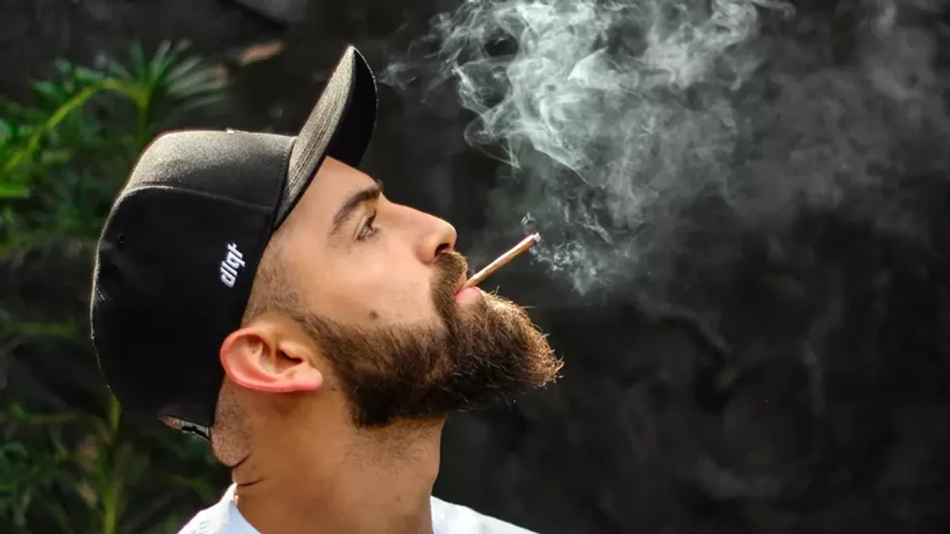 Nem csak illegális, de káros is a marihuána, szívbetegséget okoz