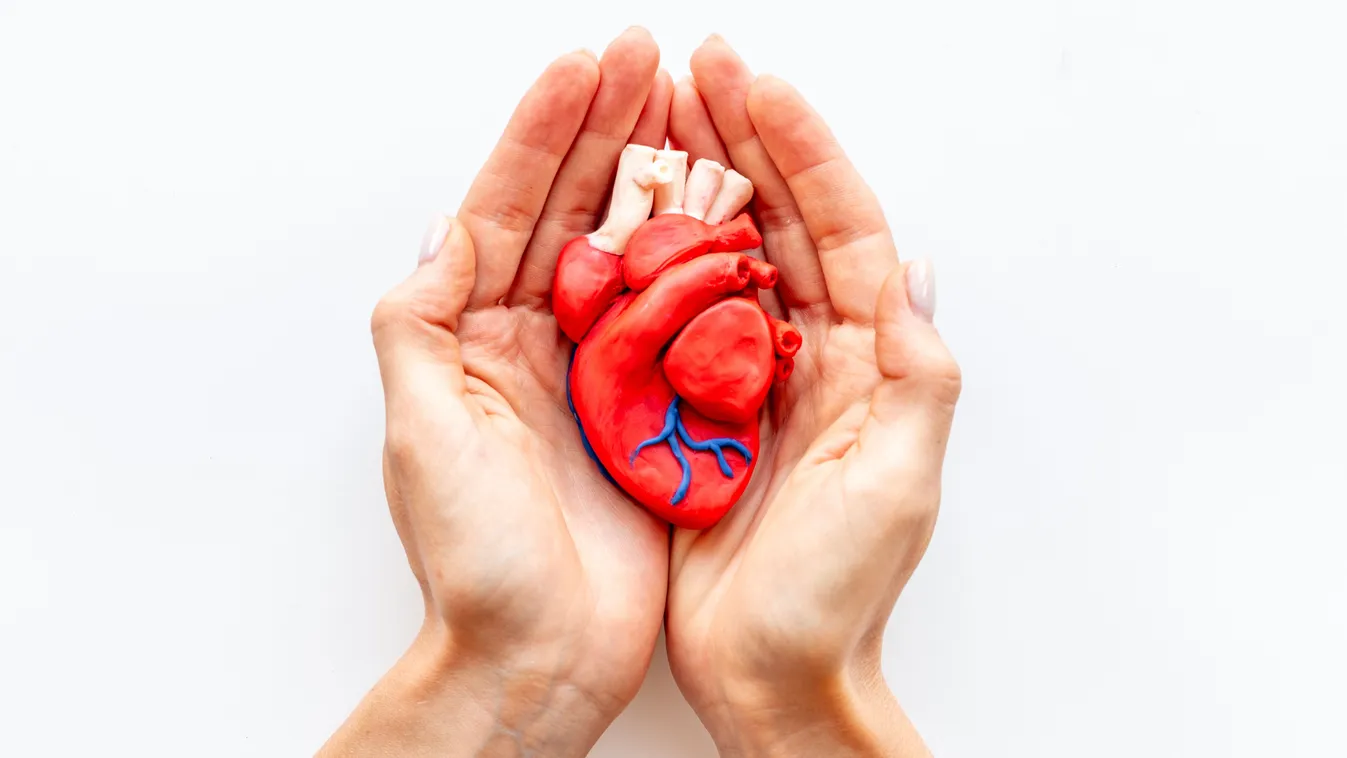 Szívbillentyű csere: az életmentő műtét, amikor a szív már alig bírja