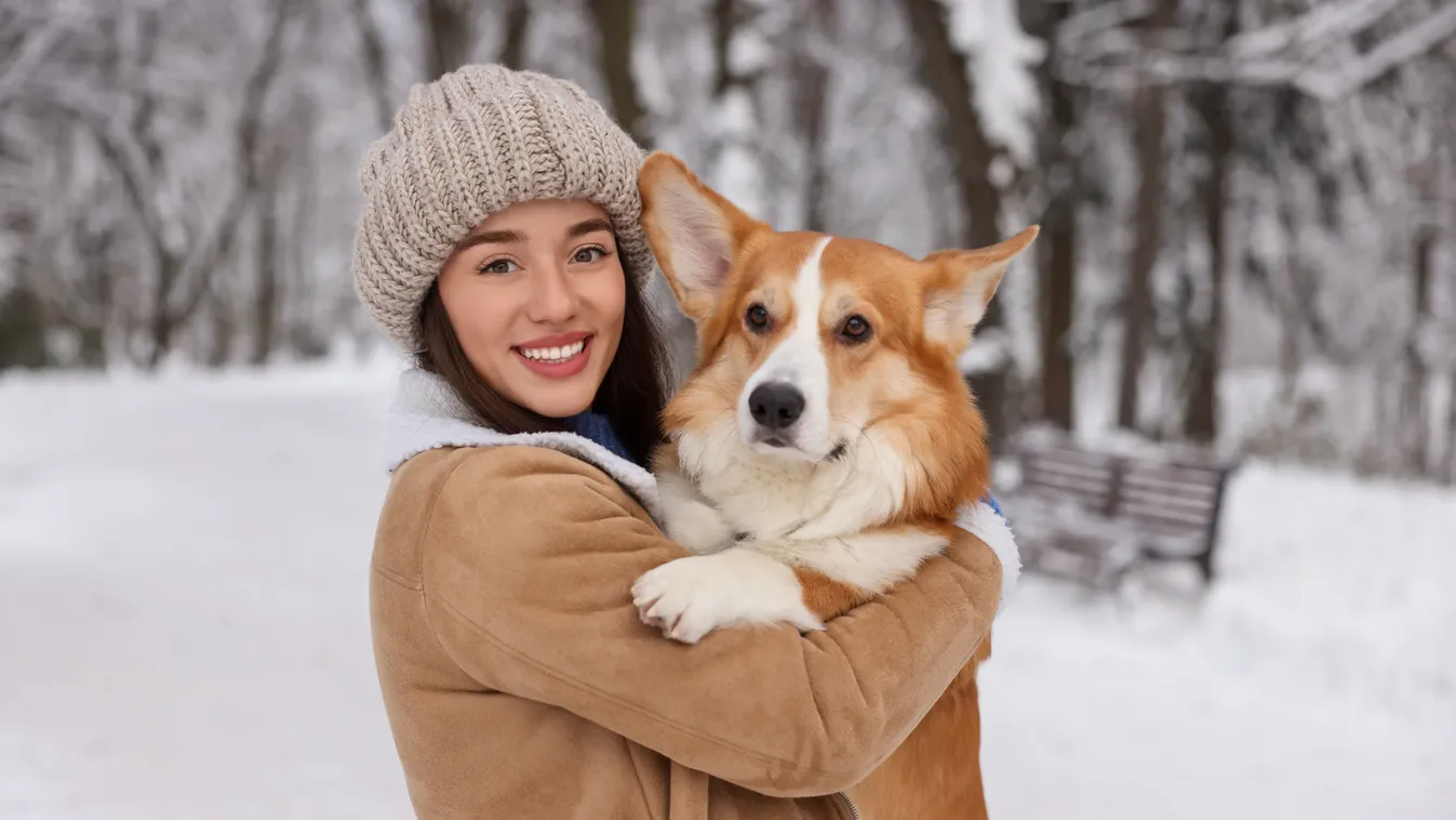 Melyik állatot fogadnád örökbe? Ez a személyiségteszt hihetetlenül pontos képet fest a lelkiállapotodról