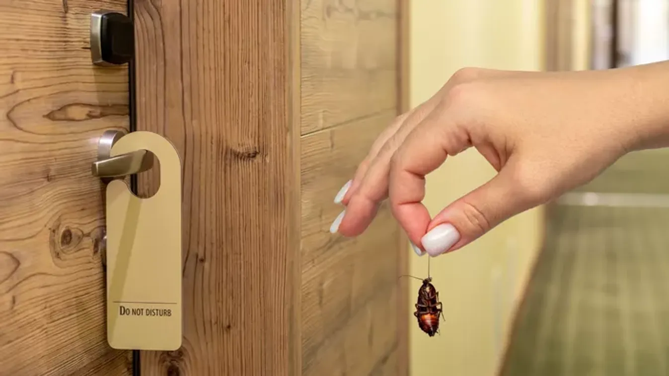 “Red flagek” a szállodában – Mire figyelj, hogy elkerüld a rossz hotelélményt?